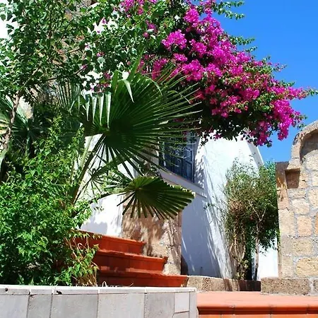 Hotel Theofilos
